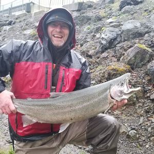 Meet your Posher, Bill